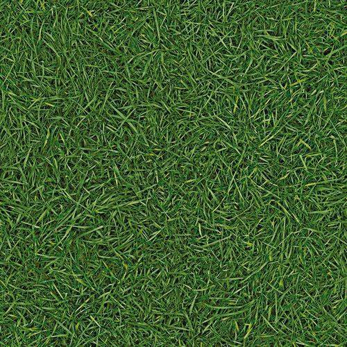 Линолеум бытовой "IVC" Neo Grass 25 (3м) — купить в Волгодонске