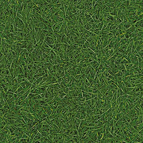 Линолеум бытовой "IVC" Bingo Grass 25 (3м) — купить в Волгодонске