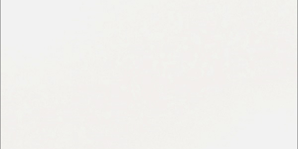 Керамогранит "Уральский Гранит" Палитра (600*300 мм) Белый UF001MR — купить в Волгодонске