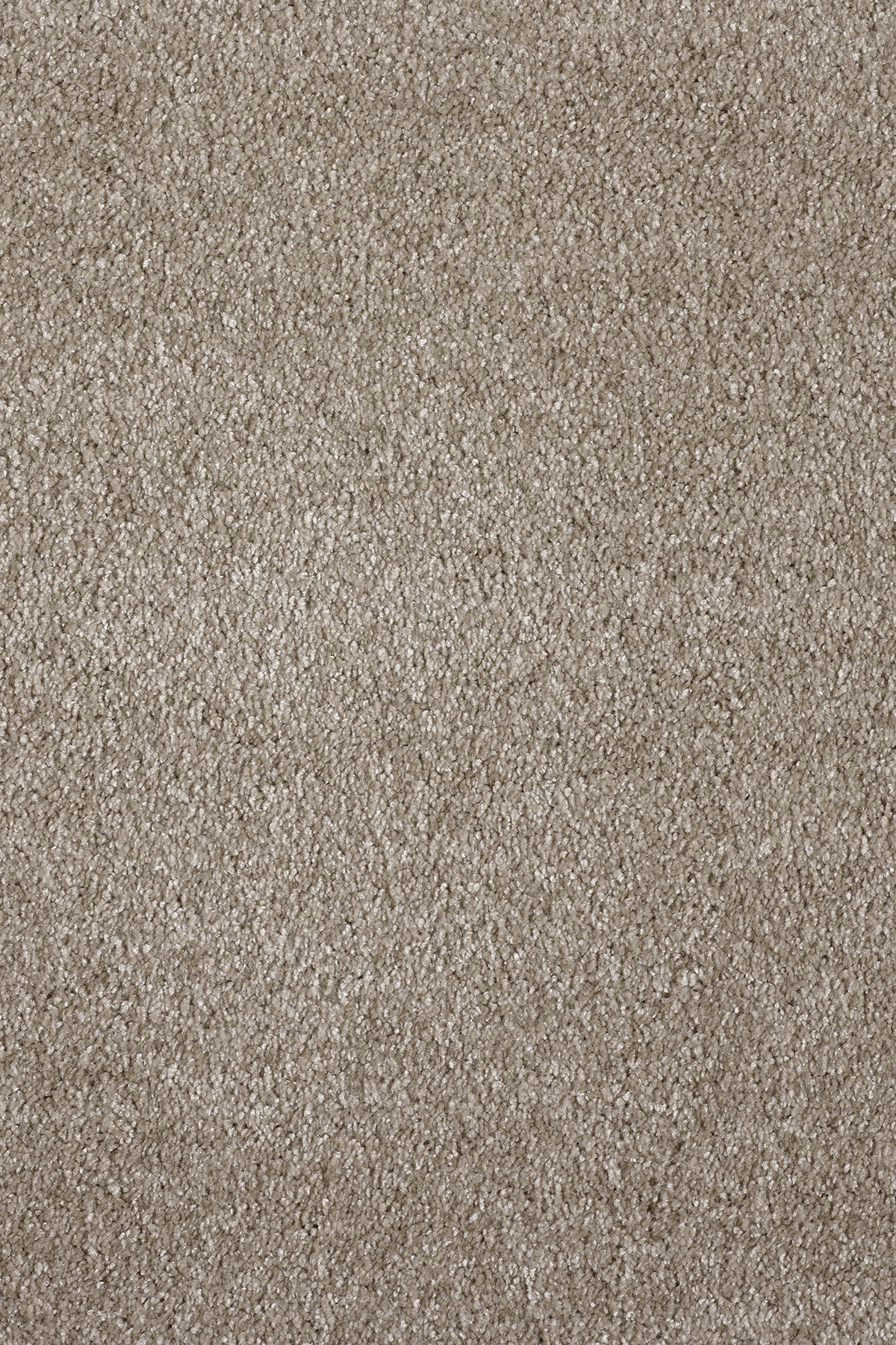 Ковровое покрытие "Bonkeel" Parana 34 (ширина 4м/5м) — купить в Волгодонске