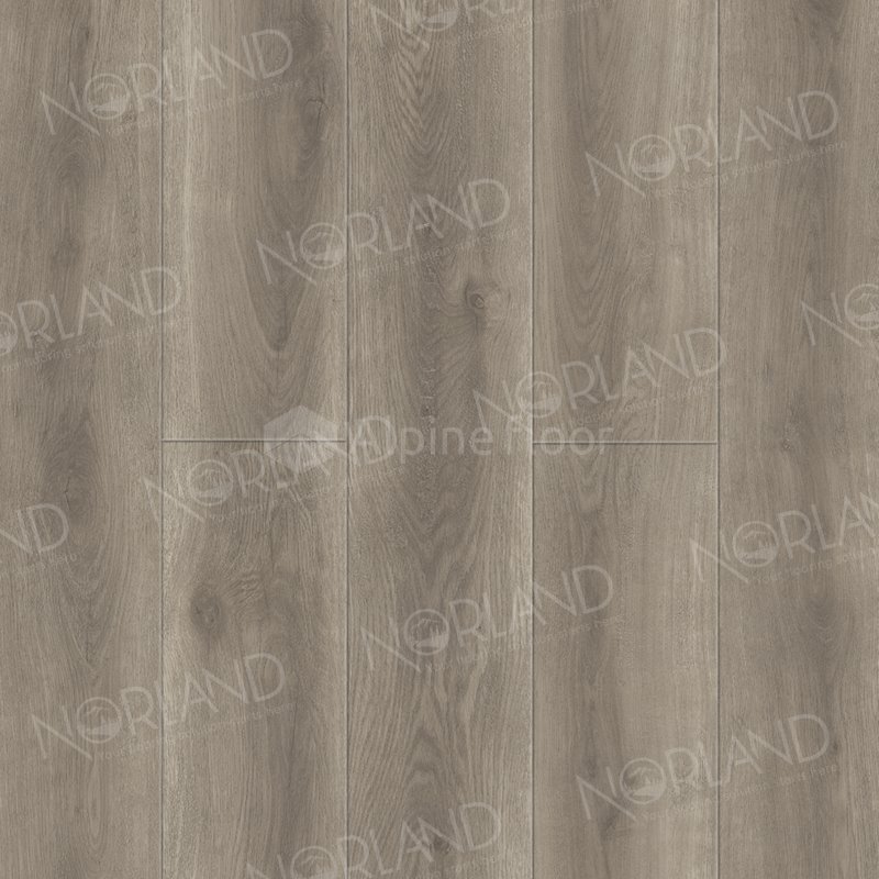SPC Ламинат "Norland" Templet (1220*196*8 мм) — купить в Волгодонске