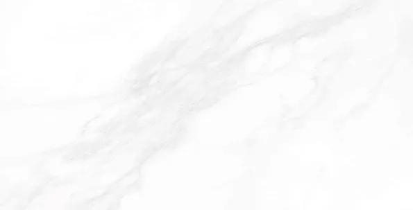 Керамогранит Пайер (Payer) 600*1200 матовый элегант G281MR — купить в Волгодонске