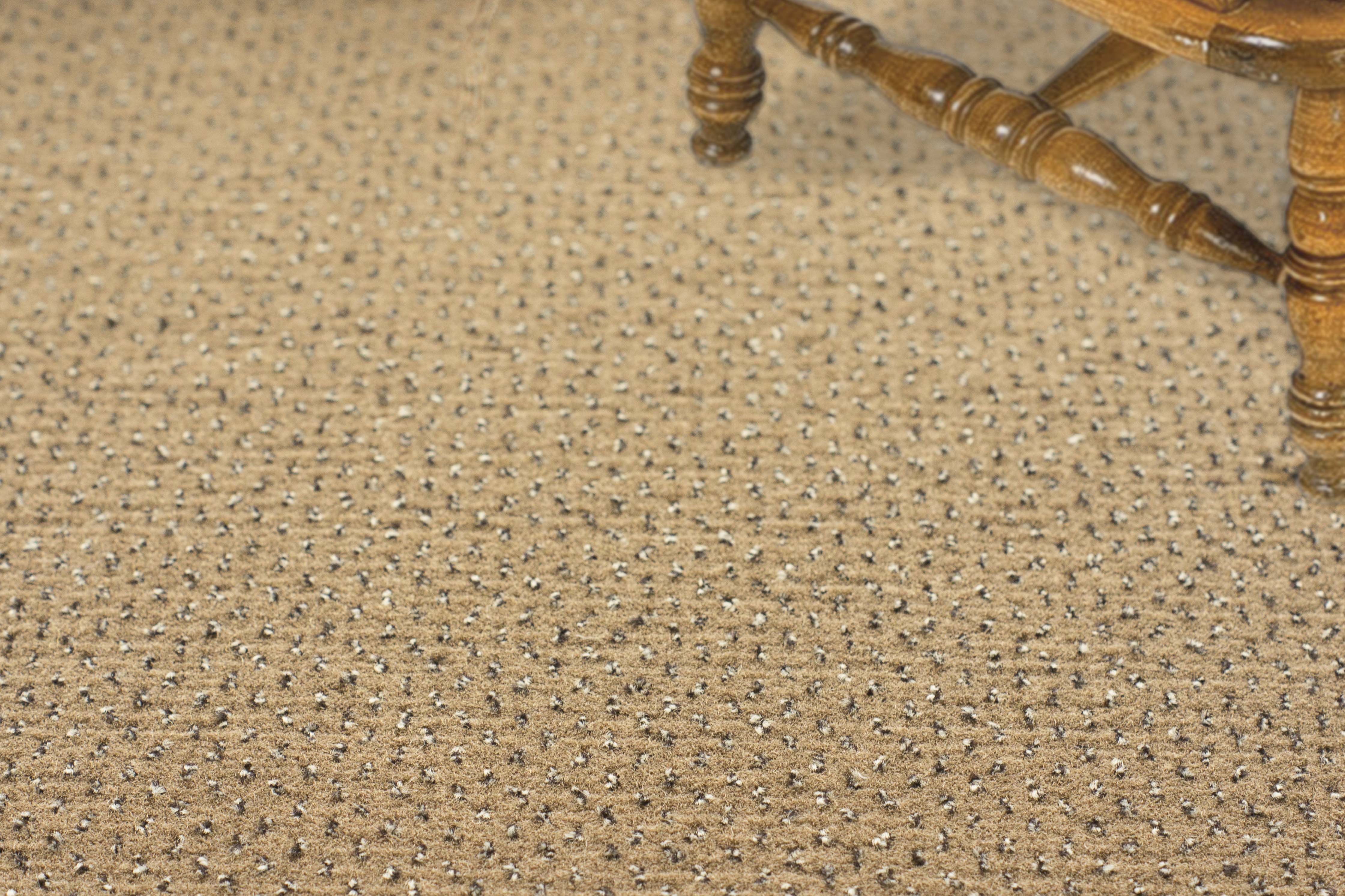 Ковролин "Зартекс" Eternity 142 бежевый (4м) — купить в Волгодонске