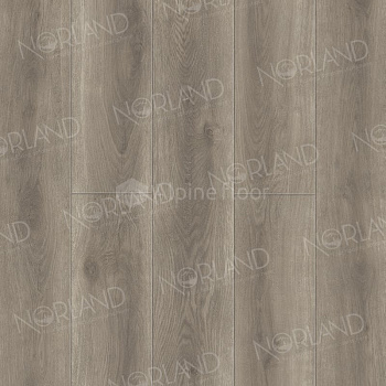 SPC Ламинат "Norland" Templet (1220*196*8 мм) — фото и характеристики