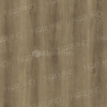 SPC Ламинат "Norland" Altaelva (1220*196*8 мм) — фото и характеристики